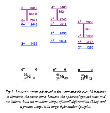 Level Scheme